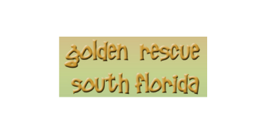 Golden Rescue South Florida