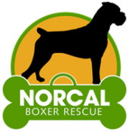 NorCal Boxer Rescue