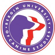 Bergin University of Canine Studies