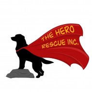 The Hero Rescue Incorporated