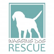 Wagging Dog Rescue
