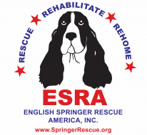 English Springer Rescue America, Inc