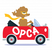 OPCA Shelter Network Alliance, Inc.