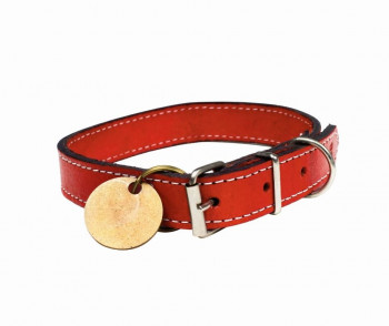 Vegan-leather adjustable dog collar with metal plate tag