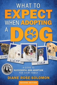 What to expect when adopting a dog