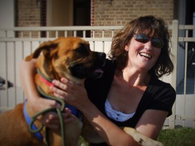 Animal Rescue Myth - Rescue Animals are Free