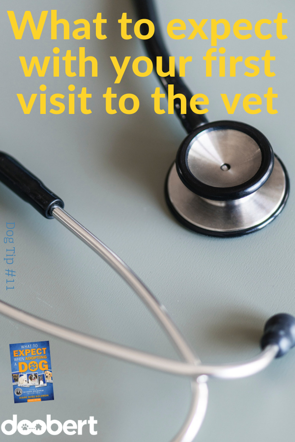 What to expect with your first visit to the vet (1)