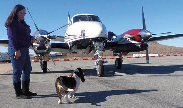 animal rescue flight
