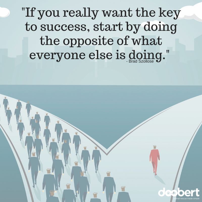 If you really want the key to success, start by doing the opposite of what everyone else is doing.