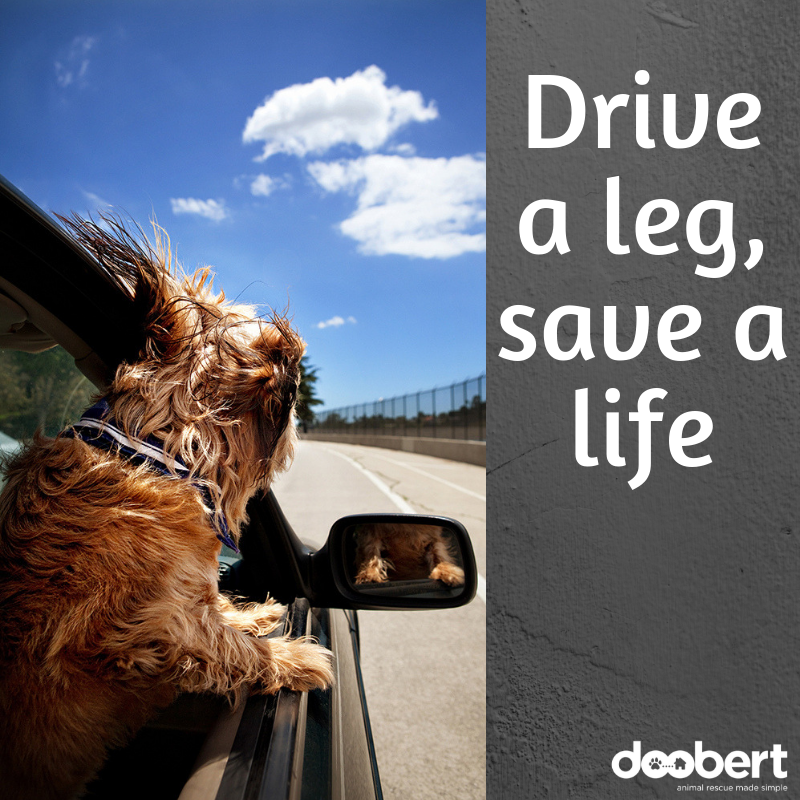 Drive a leg, save a life