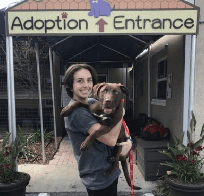 pet adoption