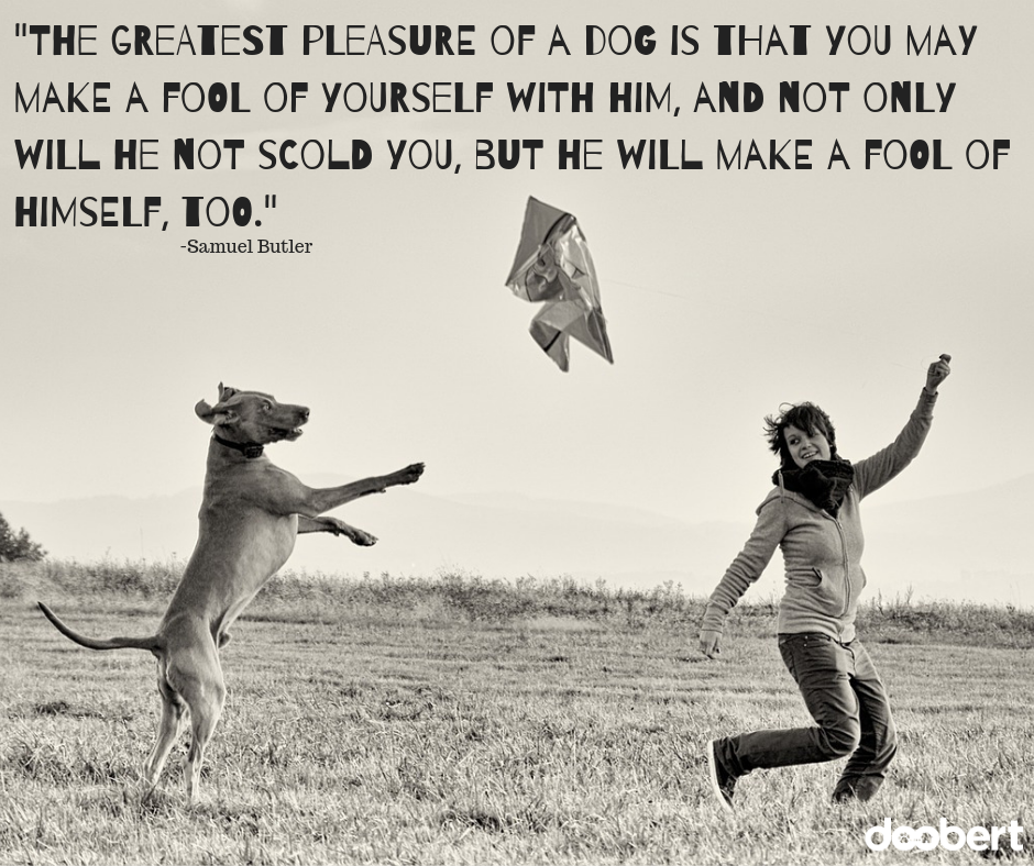 The greatest pleasure of a dog is that you may make a fool