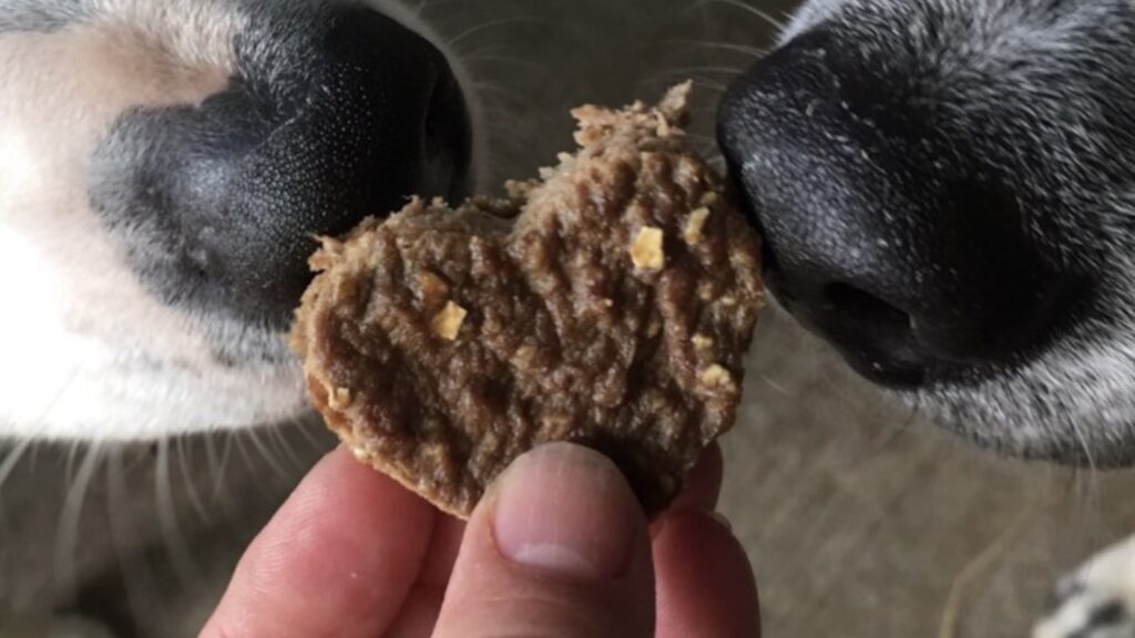 Diabetic Dog Treats