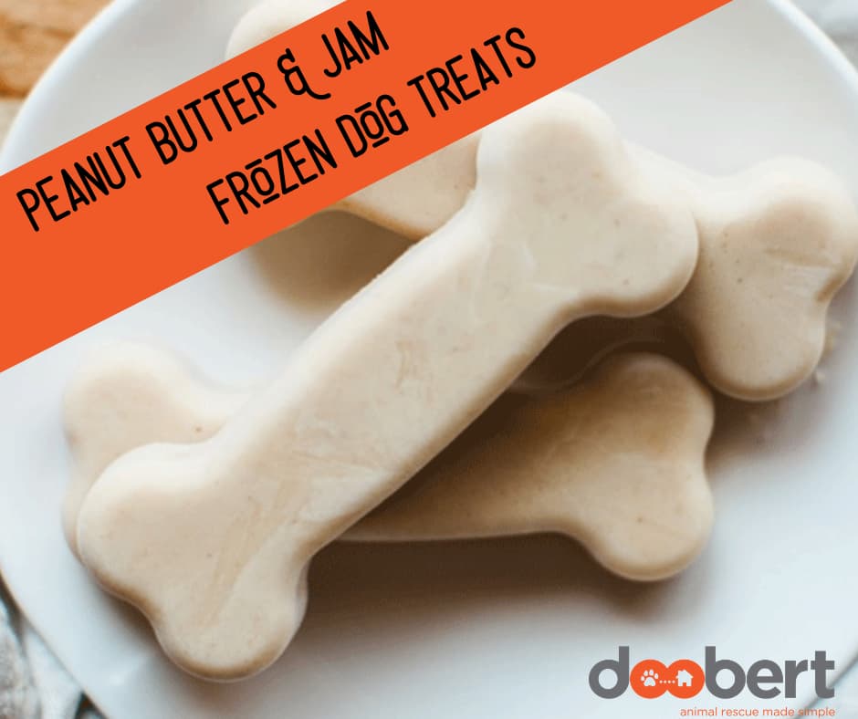 Peanut Butter & Jam Frozen Dog Treats