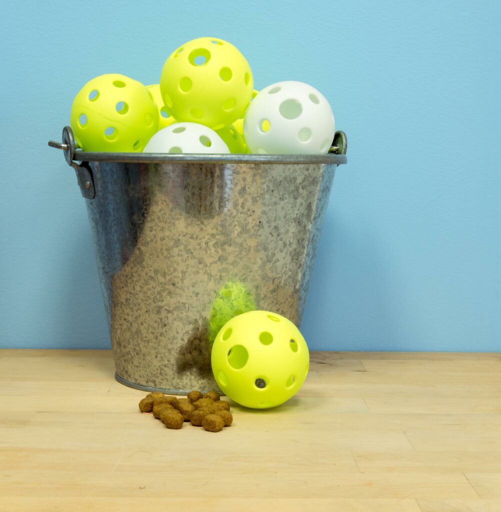 Wiffle Ball Treat Holder