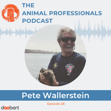 28 Pete Wallerstein_FB