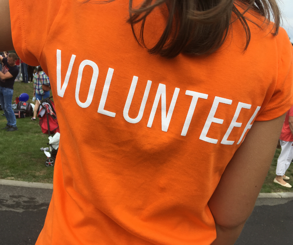 8 Skills to Offer Your Local Animal Shelter