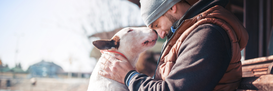 5 Reasons Why Volunteering at an Animal Shelter Is Good for the Soul