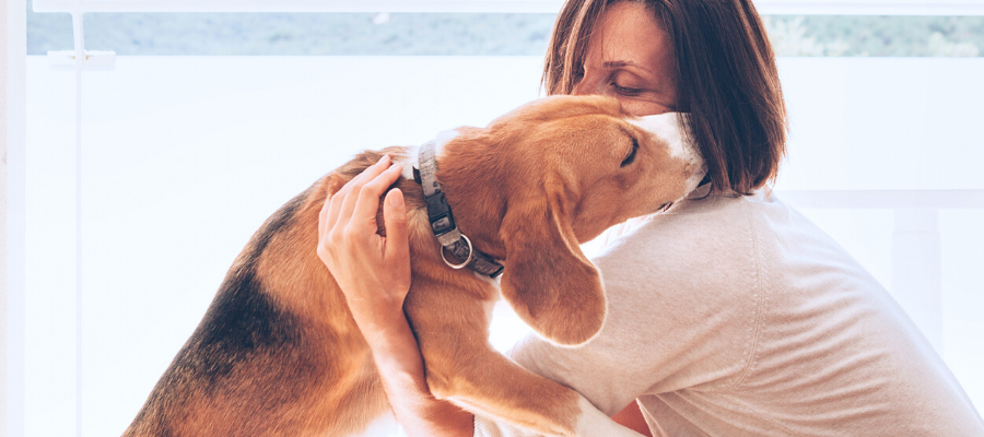 National Awkward Moments Day: 8 Awkward Moments All Dog Owners Can Relate To