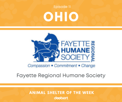 FB 11. Fayette Regional HS_Shelter of the Week