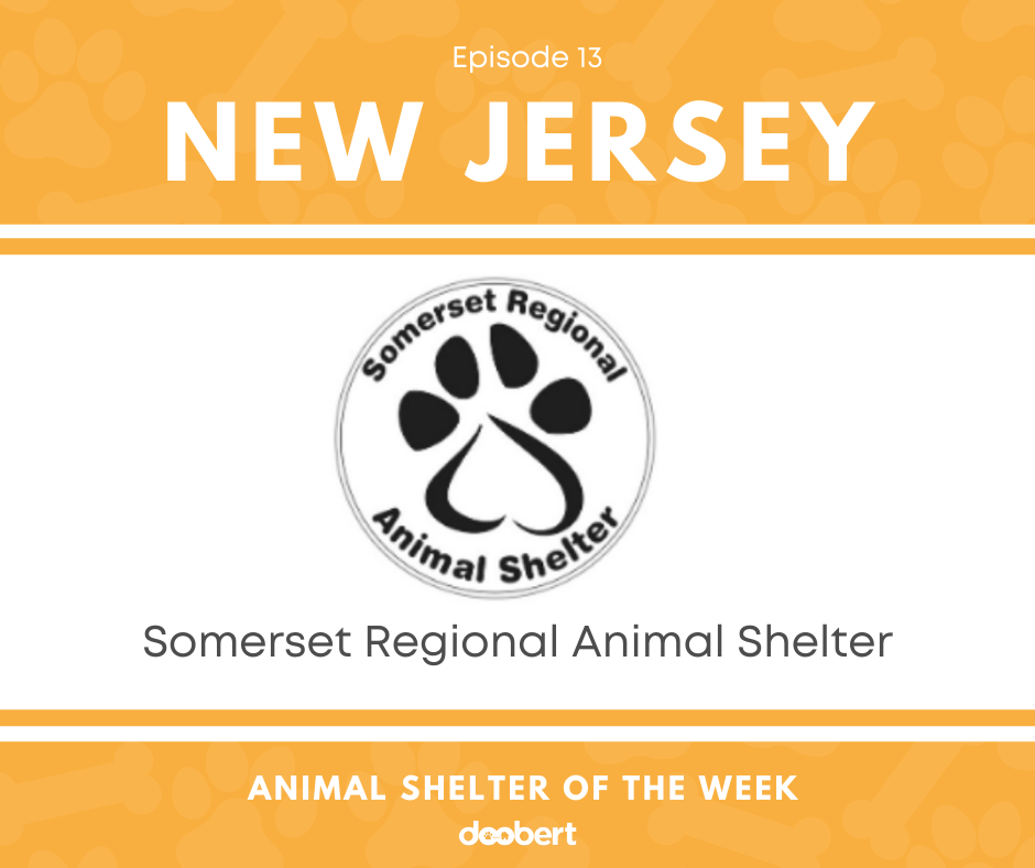 FB 13. Somerset Regional Animal Shelter_Shelter of the Week