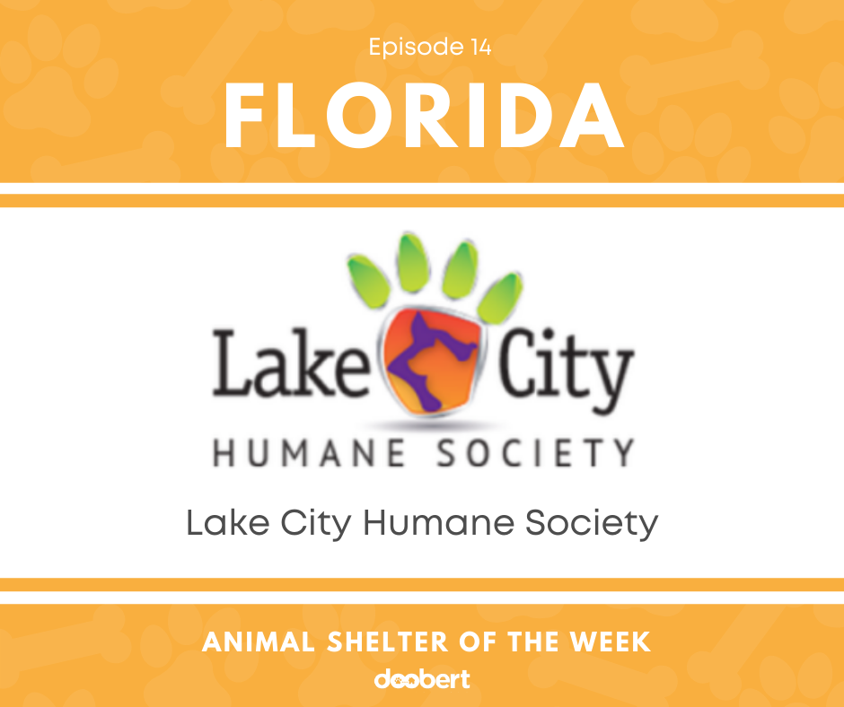 FB 14. Lake City Humane Society_Animal Shelter of the Week