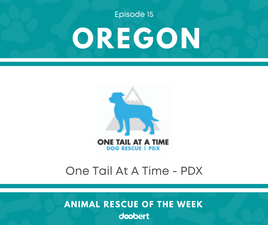 FB 15. One Tail At A Time PDX_Animal Rescue of the Week