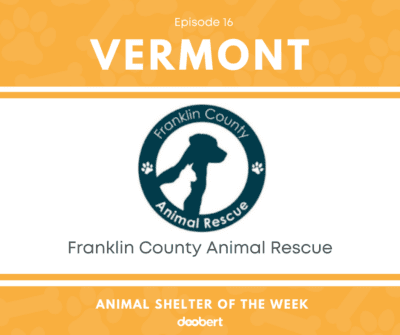 FB 16. Franklin County Animal Rescue_Animal Shelter of the Week