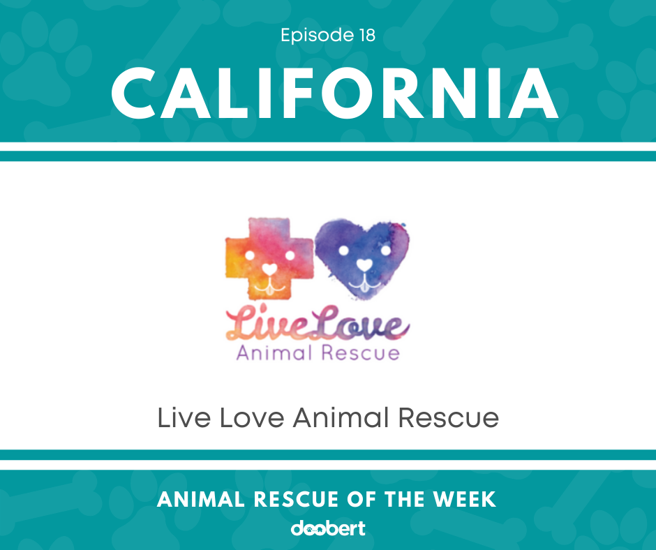 FB 18. Live Love Animal Rescue_Animal Rescue of the Week