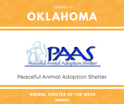 FB 22. Peaceful Animal Adoption Shelter_Animal Shelter of the Week