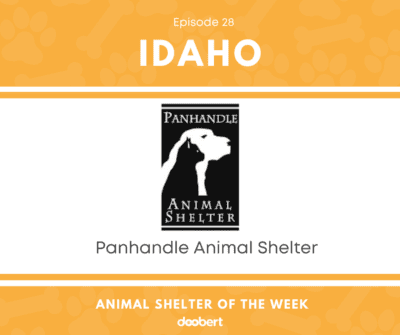 FB 28. Panhandle Animal Shelter_Animal Shelter of the Week