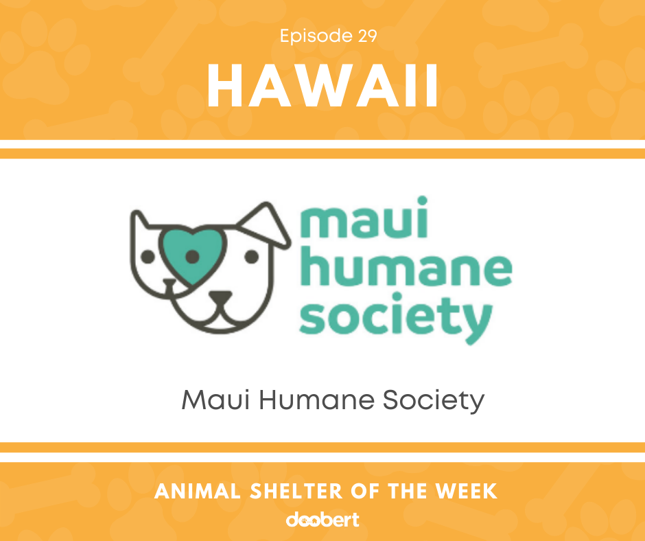 FB 29. Maui Humane Society_Animal Shelter of the Week
