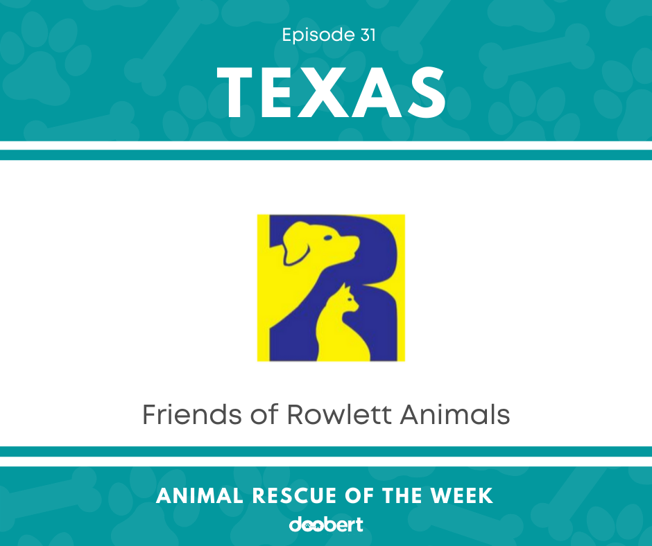 FB 31. Friends of Rowlett Animals_Animal Rescue of the Week