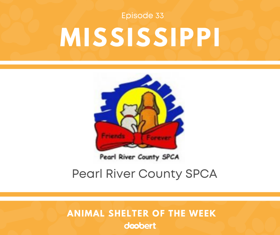 FB 33. Pearl River County SPCA_Animal Shelter of the Week