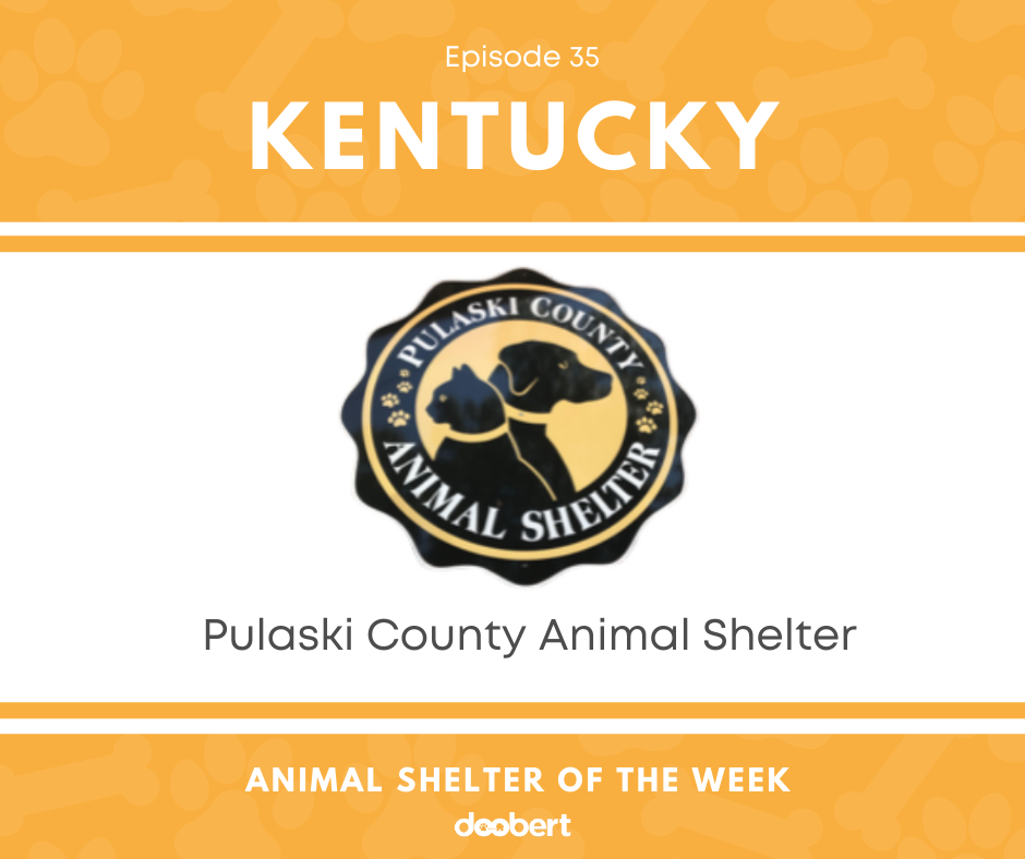 FB 35. Pulaski County Animal Shelter_Animal Shelter of the Week