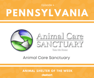_FB 4. Animal Care Sanctuary_Shelter of the Week