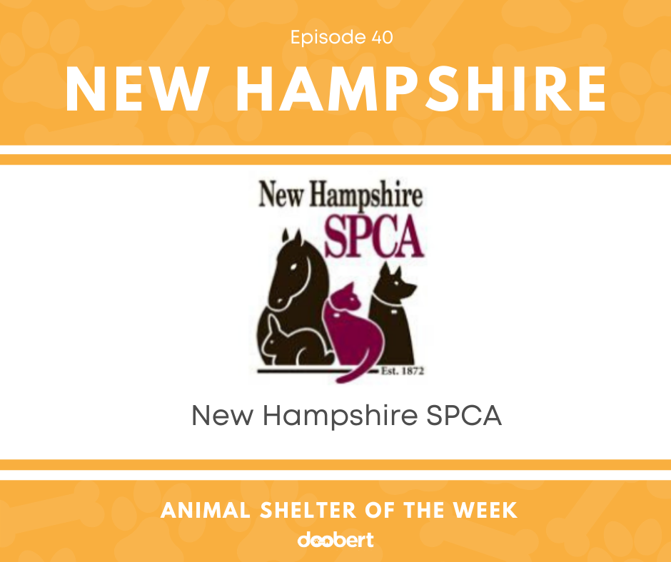 FB 40. New Hampshire SPCA_Animal Shelter of the Week