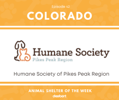 FB 42. Humane Society of Pikes Peak Region_Animal Shelter of the Week