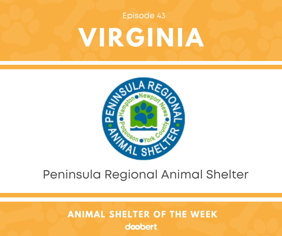 FB 43. Peninsula Regional Animal Shelter_Animal Shelter of the Week