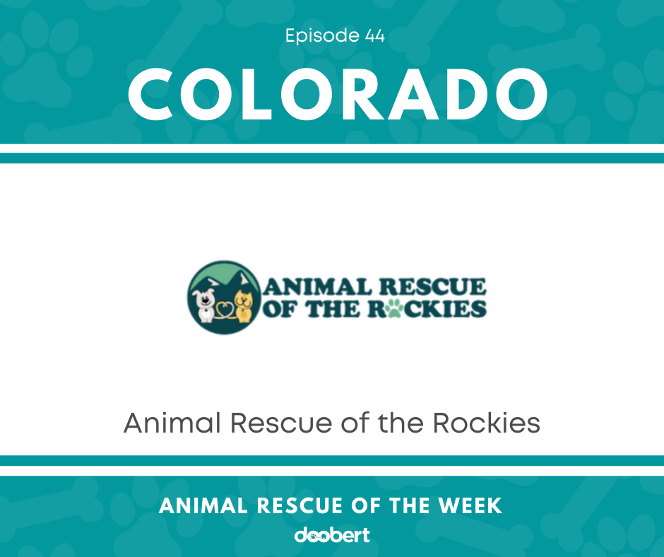 FB 44. Animal Rescue of the Rockies_Animal Rescue of the Week