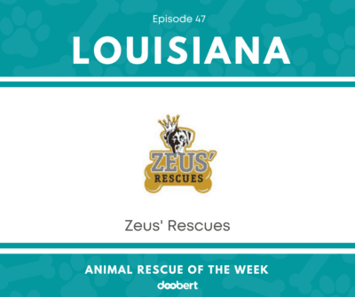 FB 47. Zeus' Rescues_Animal Rescue of the Week