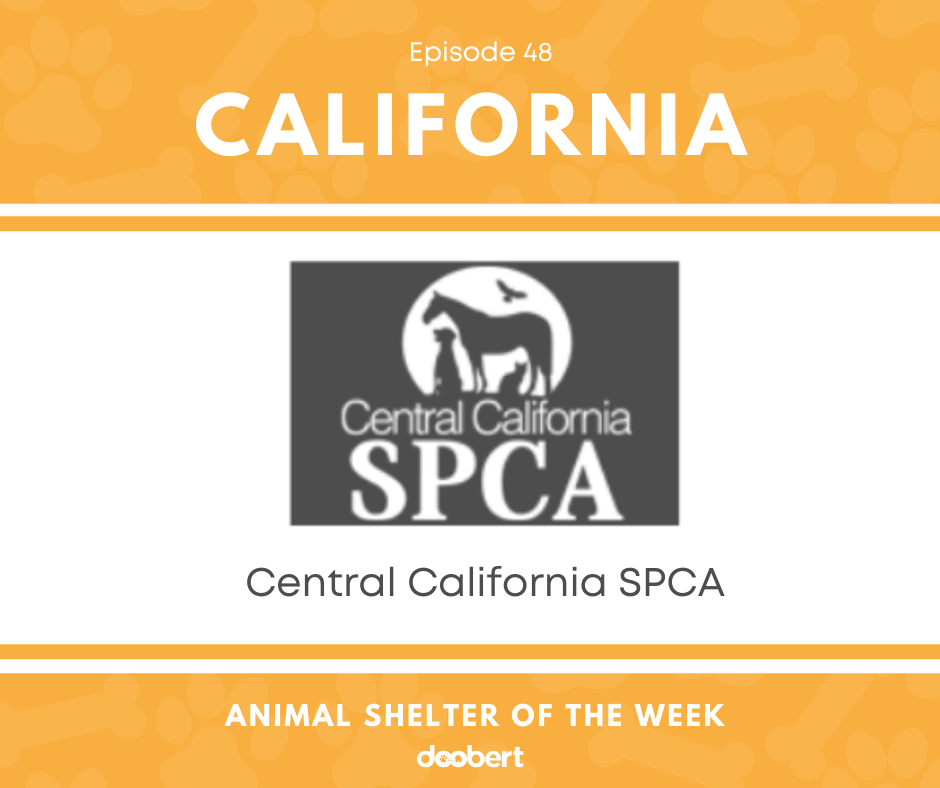 FB 48. Central California SPCA_Animal Shelter of the Week