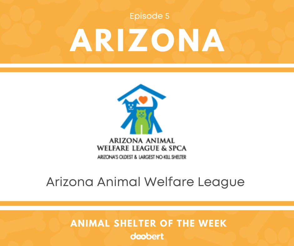 FB 5. Arizona Animal Welfare League _Shelter of the Week