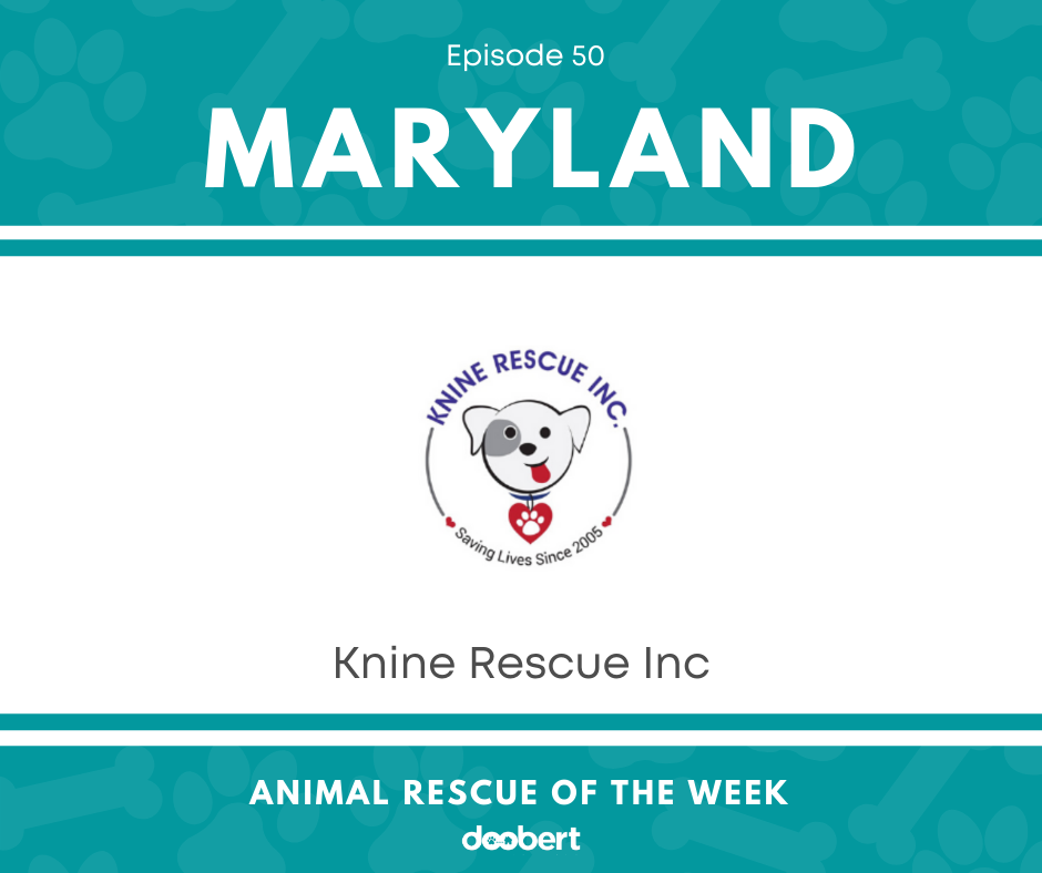 FB 50. Knine Rescue Inc_Animal Rescue of the Week