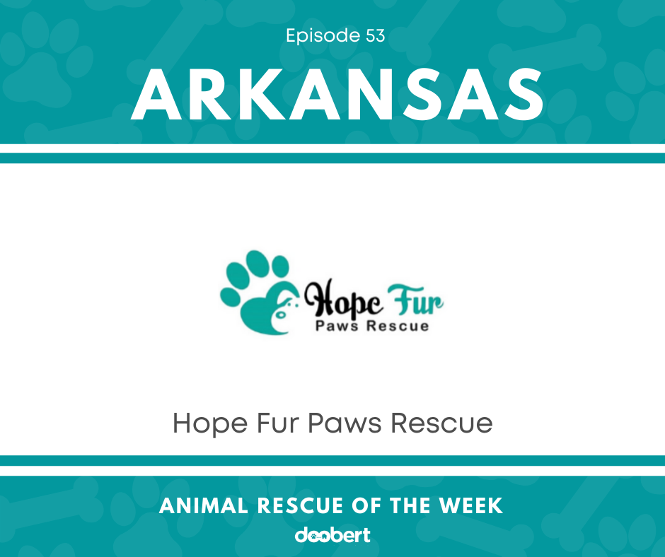 FB 53. Hope Fur Paws Rescue_Animal Rescue of the Week