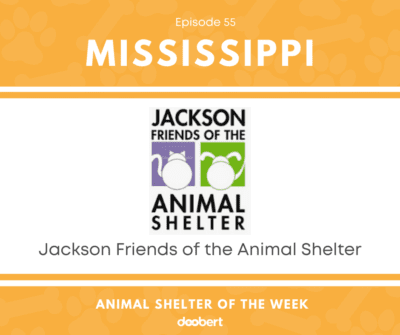 FB 55. Jackson Friends of the Animal Shelter_Animal Shelter of the Week