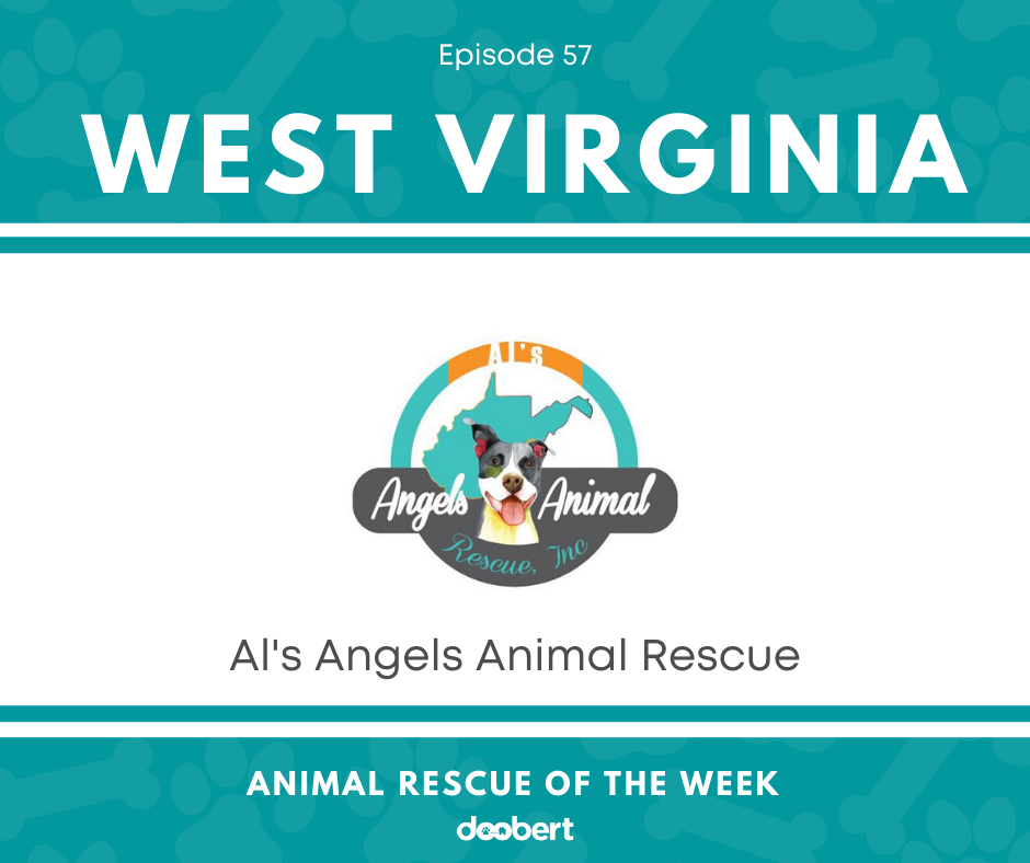 Animal Rescue of the Week: Episode 57 – Al's Angels Animal Rescue, Inc. -  