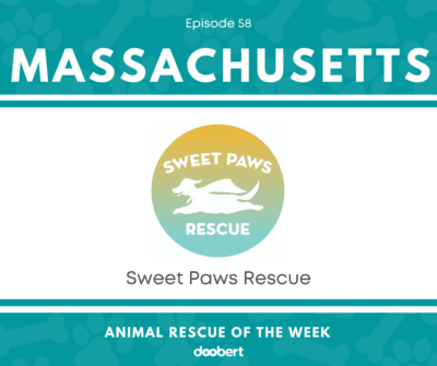 Sweet Paws Rescue
