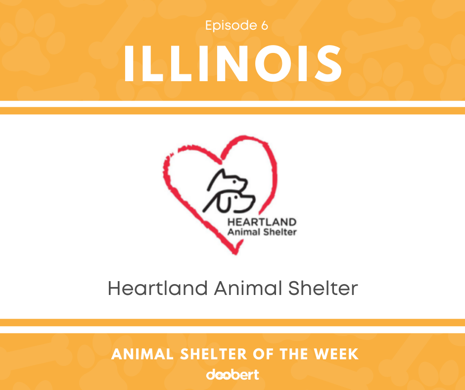FB 6. Heartland Animal Shelter_Shelter of the Week