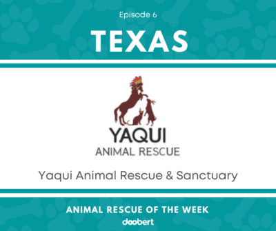 FB 6. Yaqui Animal Rescue & Sanctuary_Animal Rescue of the Week